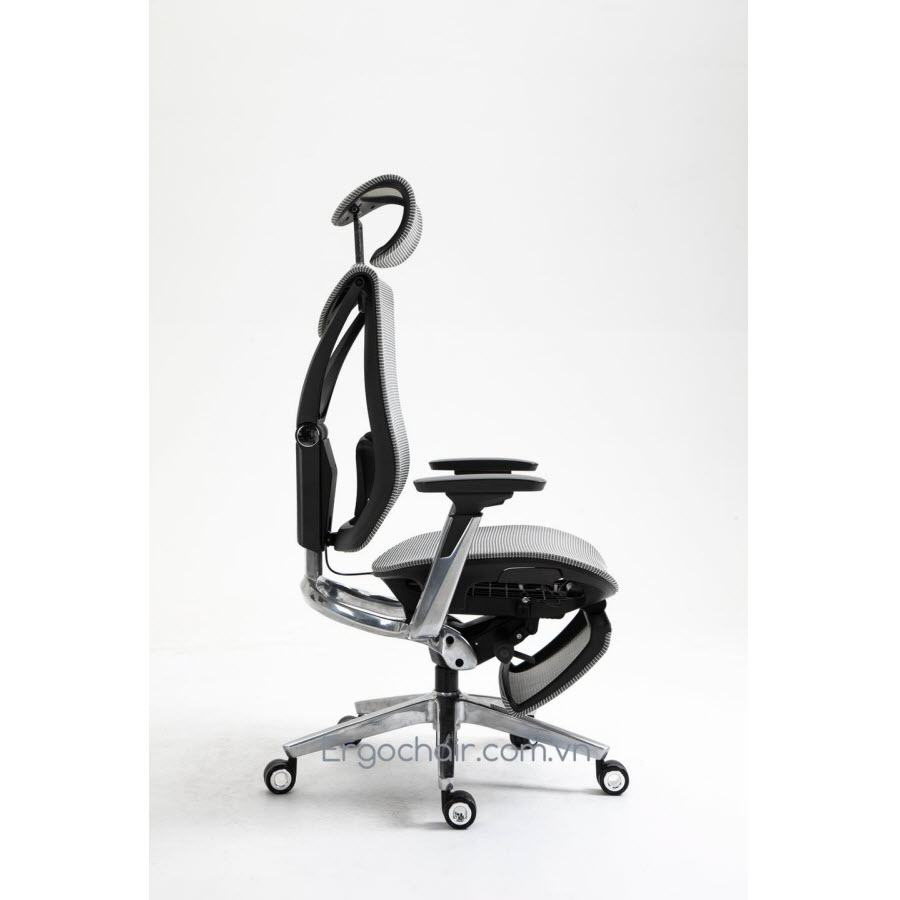 Ergochair Pro 3