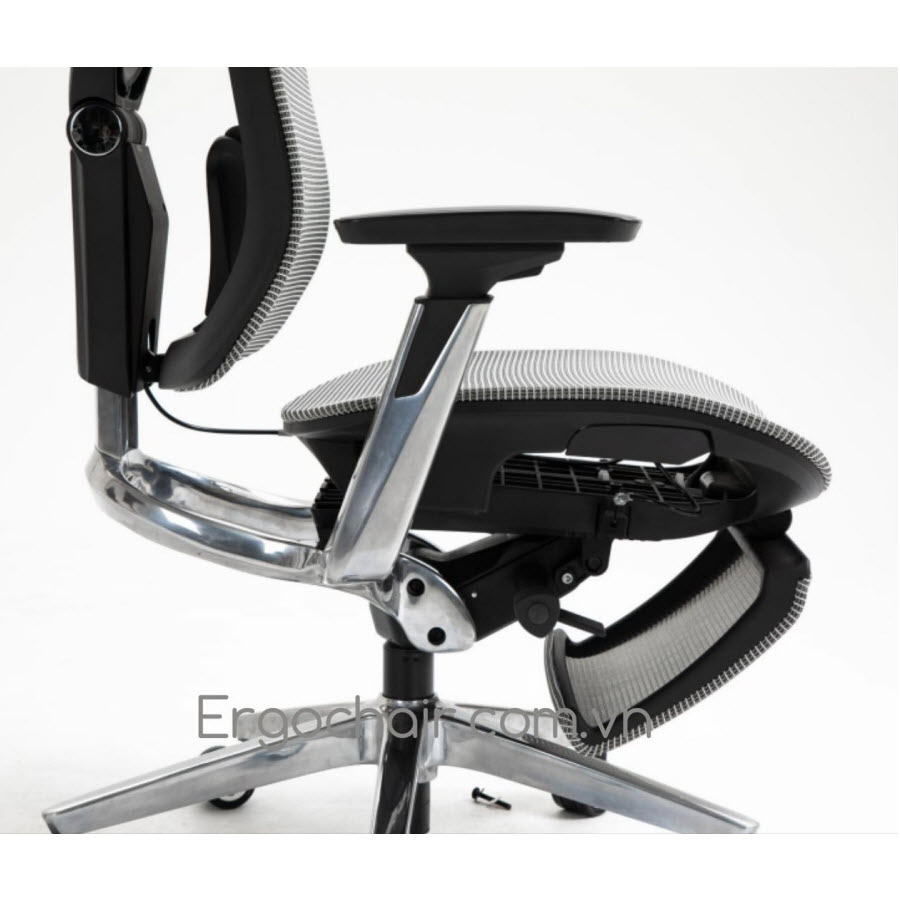 Ergochair Pro 3