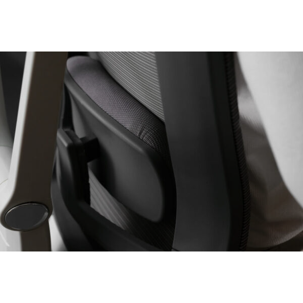 Ergochair Pro Gray