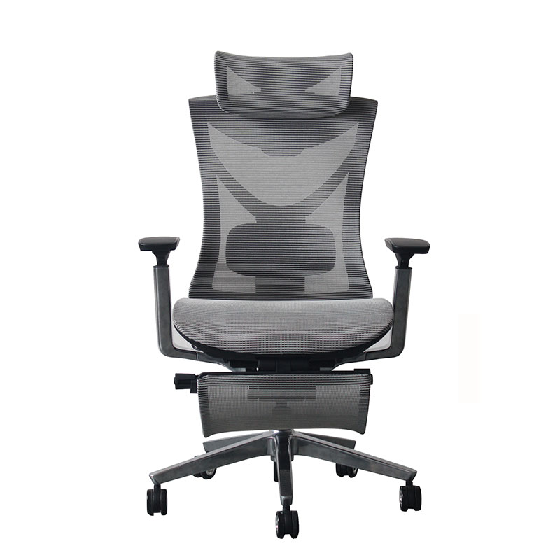 Ergochair Pro 3